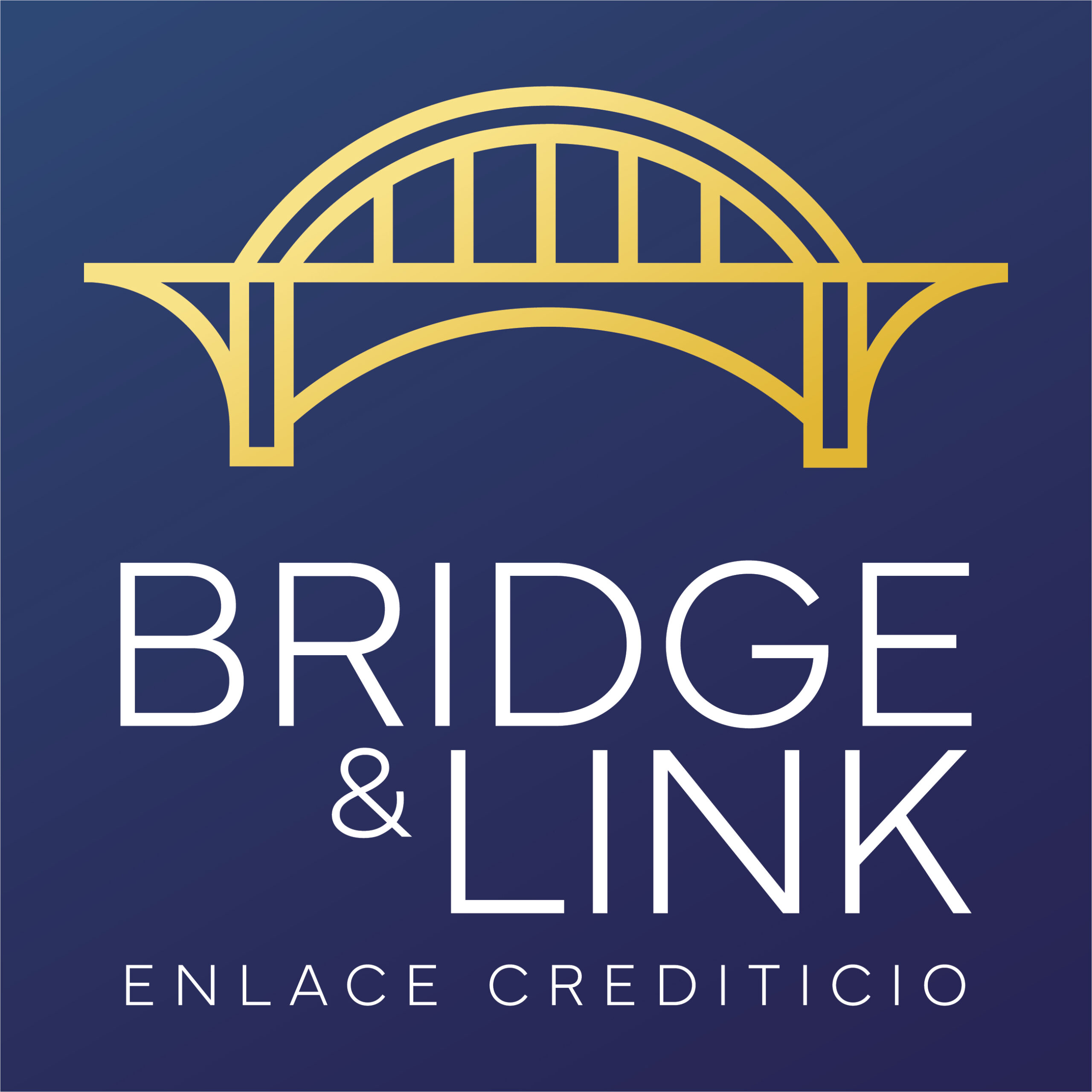 BRIDGE & LINK
